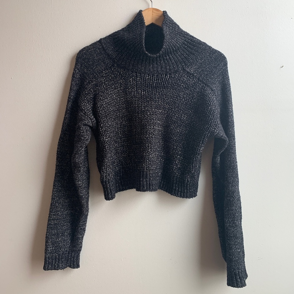 Zara Knit Cropped Turtleneck Sweater